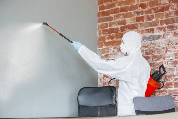 Best Post-Construction Mold Inspection  in East Shoreham, NY