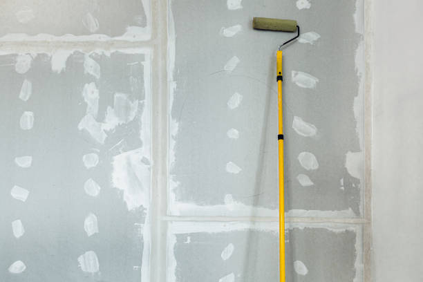 Best Emergency Mold Remediation  in East Shoreham, NY