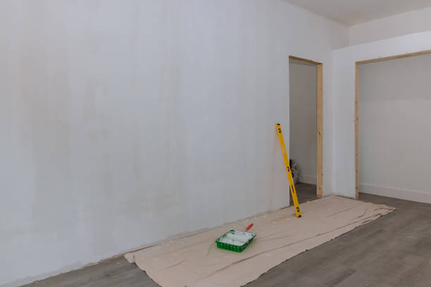 Best Mold Damage Restoration  in East Shoreham, NY