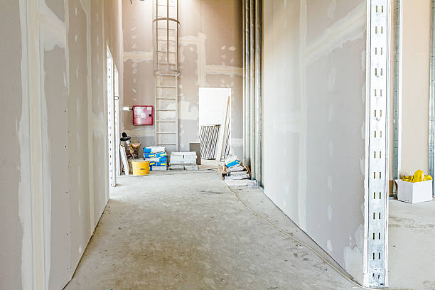 Best Mold Documentation for Insurance Claims  in East Shoreham, NY